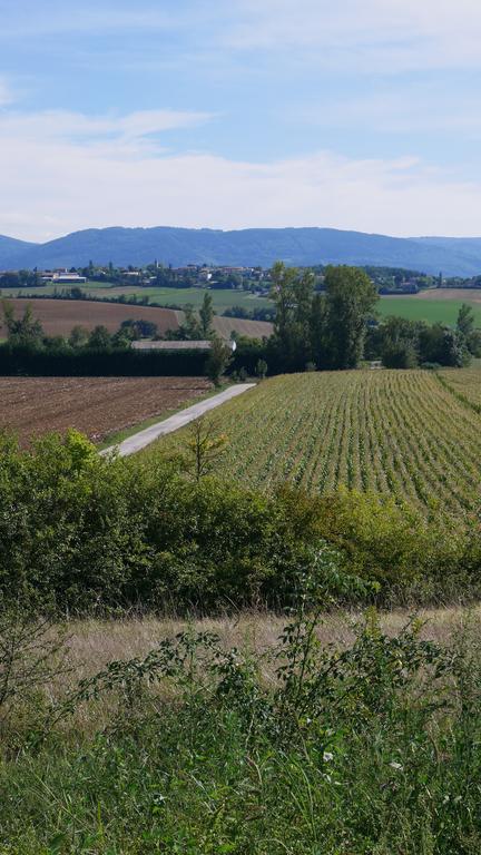 Willa La Maison D'En Face Saint-Affrique-les-Montagnes Pokój zdjęcie